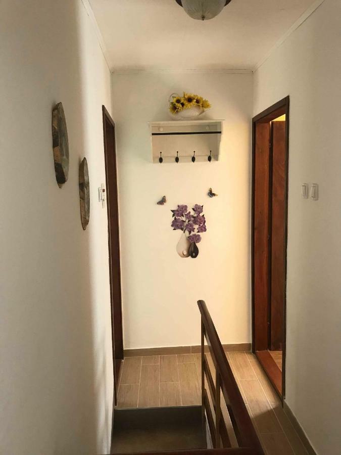Apartma Evi Zaga Esterno foto